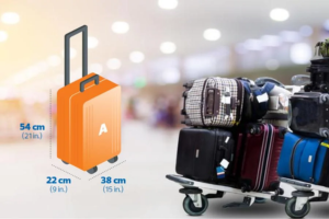 Extra Baggage Delivery